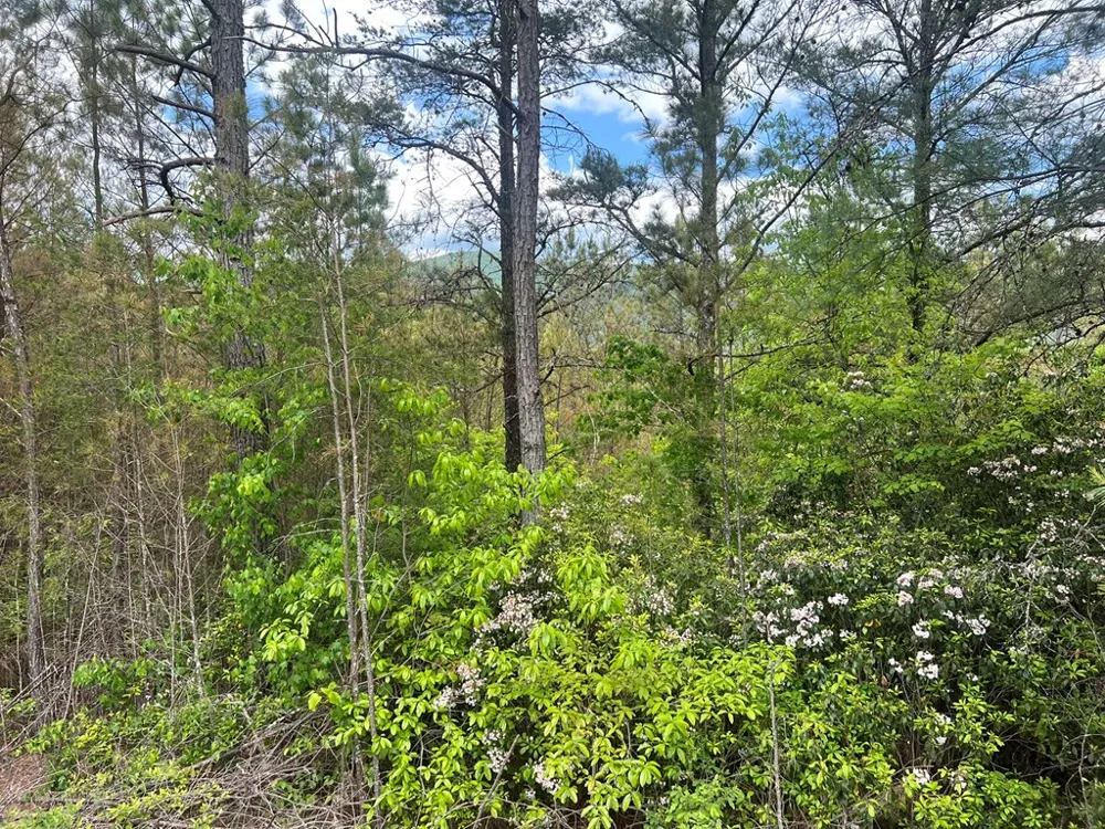 Lot 7 Skyline Drive Turtletown, TN 37391