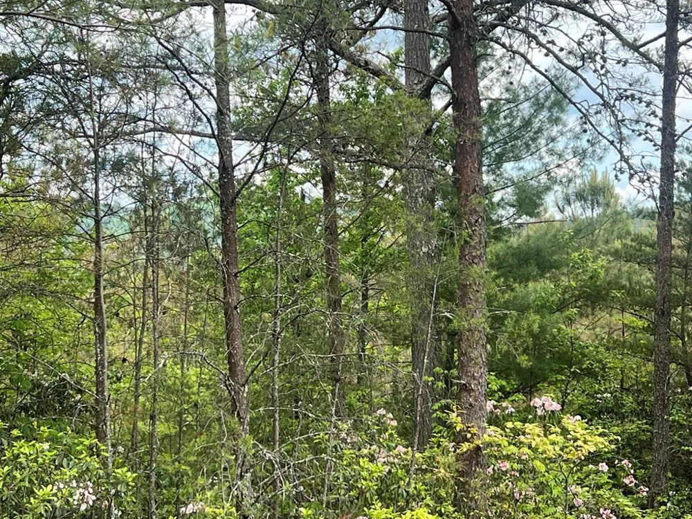 Lot 7 Skyline Drive Turtletown, TN 37391