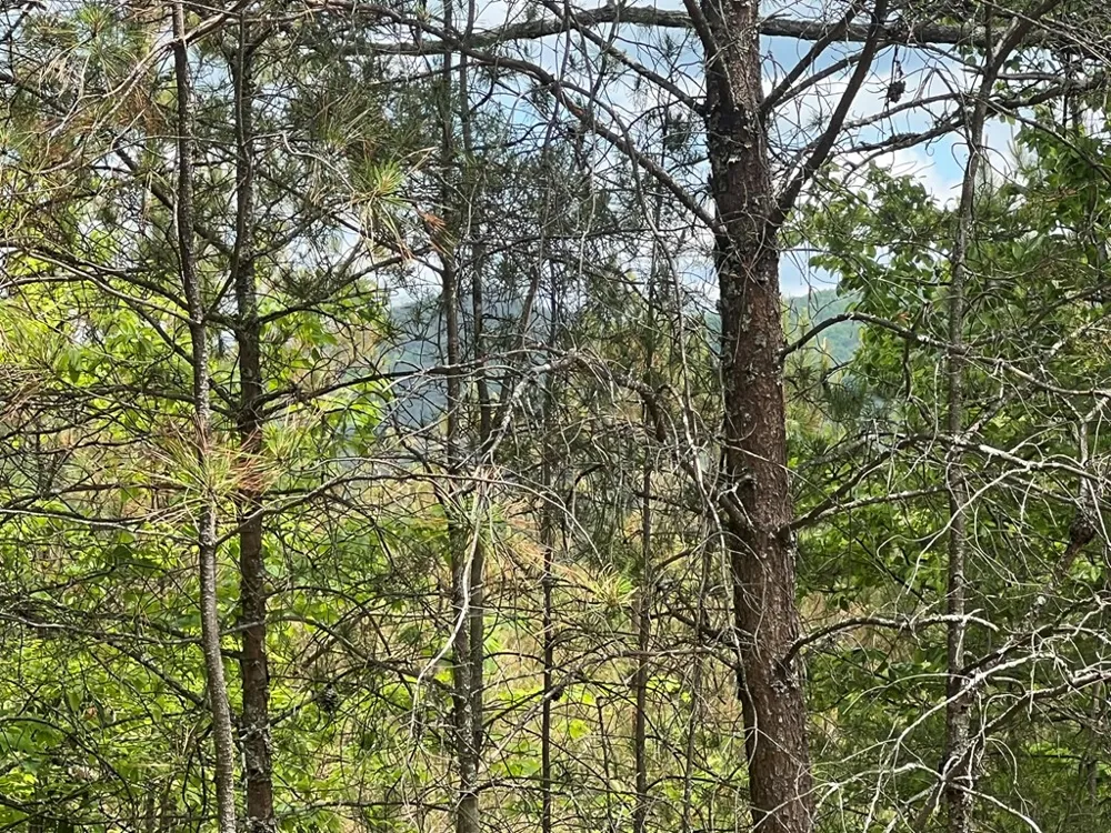 Lot 7 Skyline Drive Turtletown, TN 37391