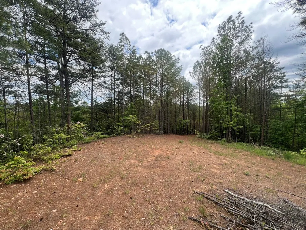 Lot 7 Skyline Drive Turtletown, TN 37391