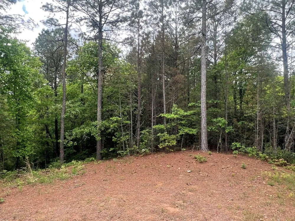 Lot 7 Skyline Drive Turtletown, TN 37391