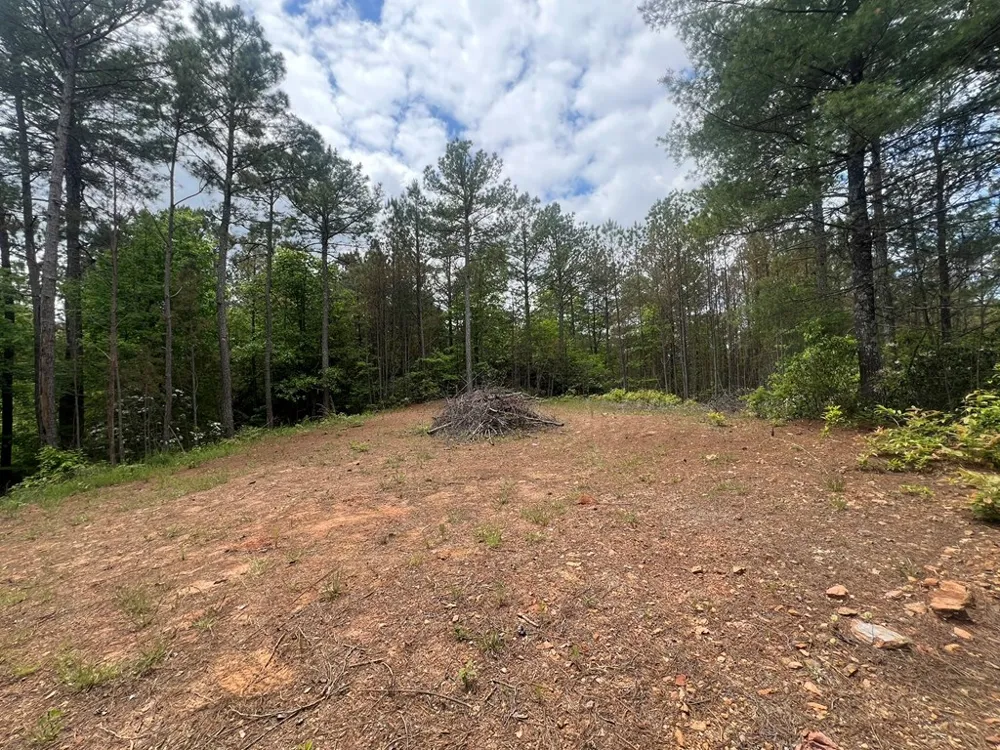 Lot 7 Skyline Drive Turtletown, TN 37391