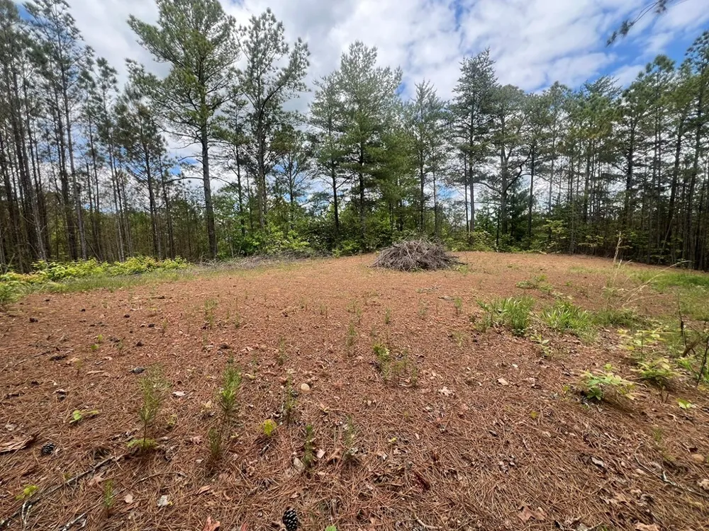 Lot 7 Skyline Drive Turtletown, TN 37391