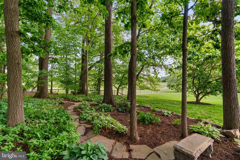 13536 PATERNAL GIFT DRIVE Highland, MD 20777