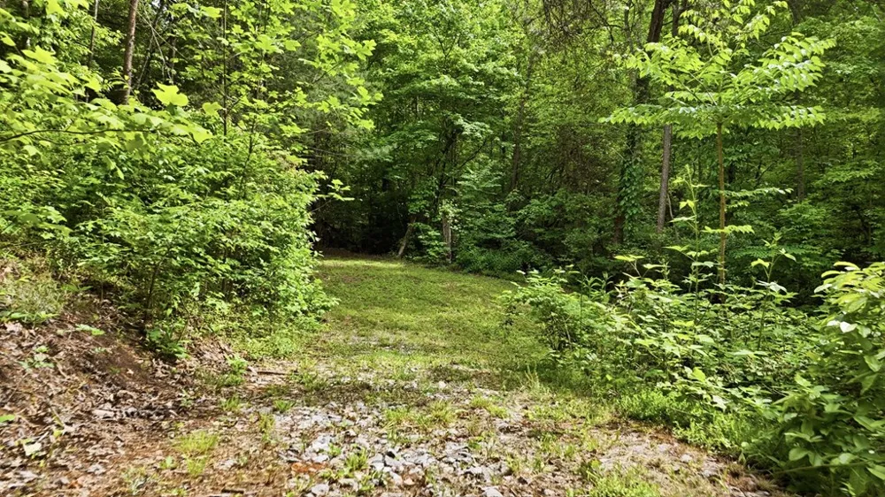 Underburg Ln Franklin, NC 28734