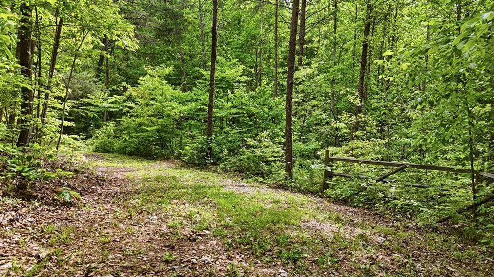 Underburg Ln Franklin, NC 28734