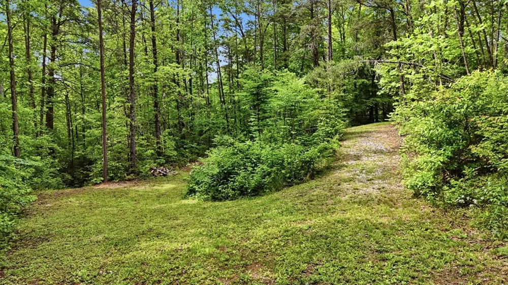 Underburg Ln Franklin, NC 28734