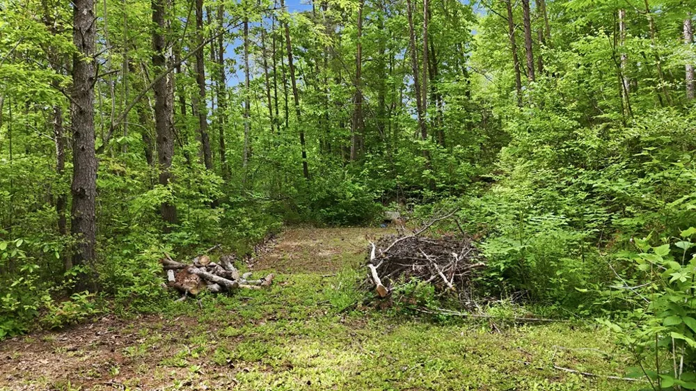 Underburg Ln Franklin, NC 28734