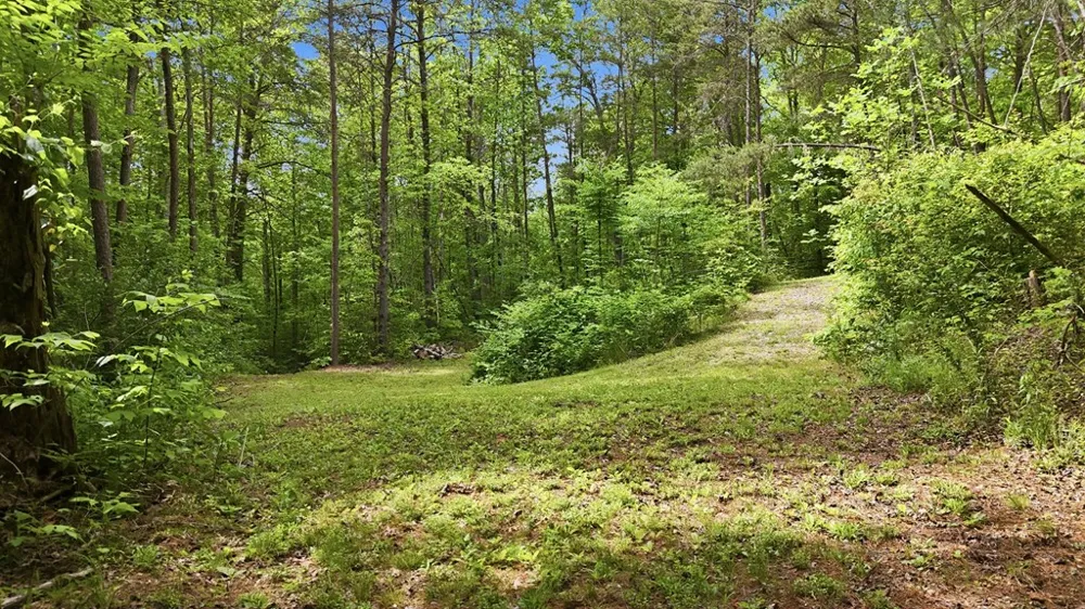 Underburg Ln Franklin, NC 28734