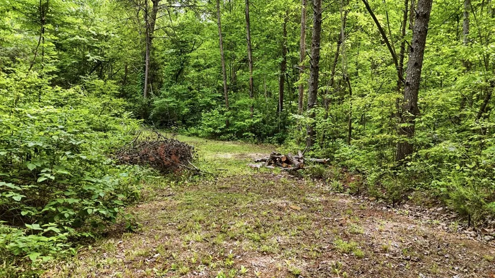 Underburg Ln Franklin, NC 28734
