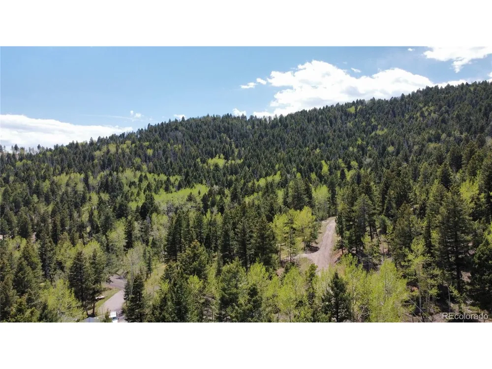 19653 Silver Ranch Road Conifer, CO 80433