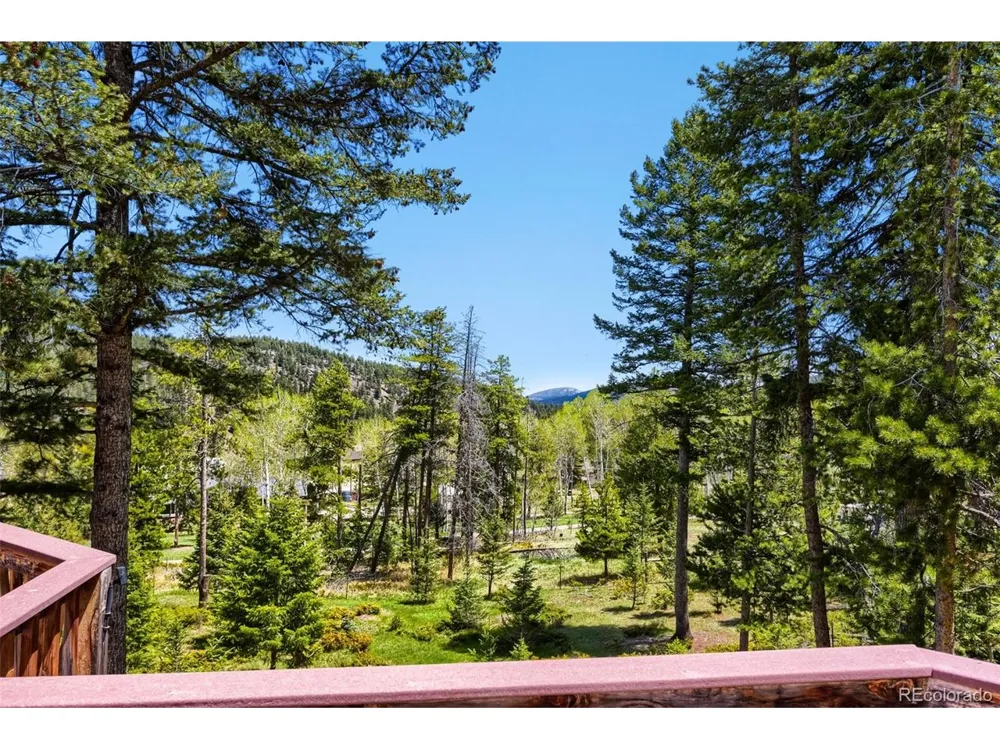 19653 Silver Ranch Road Conifer, CO 80433