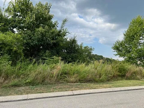 21362124 Short Leaf Lane