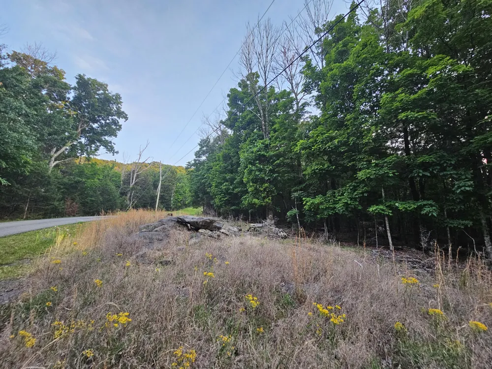 3 Sewanee Summit Road Decherd, TN 37324