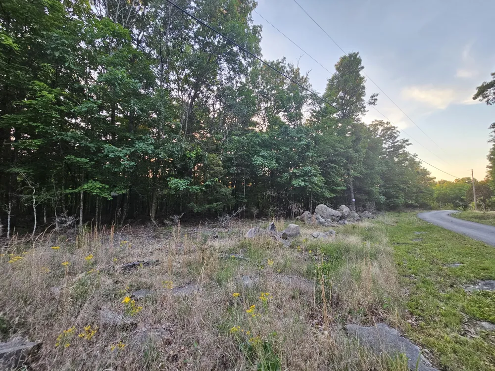 3 Sewanee Summit Road Decherd, TN 37324