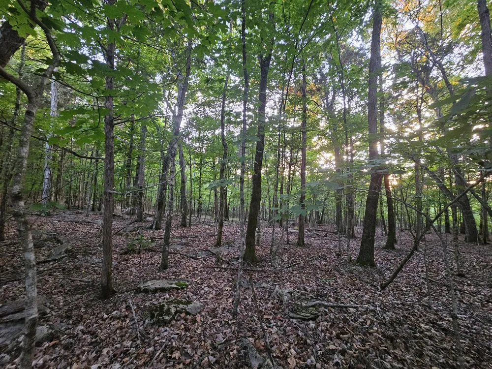 3 Sewanee Summit Road Decherd, TN 37324