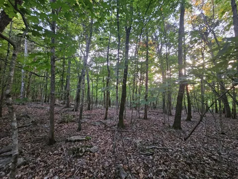 3 Sewanee Summit Road