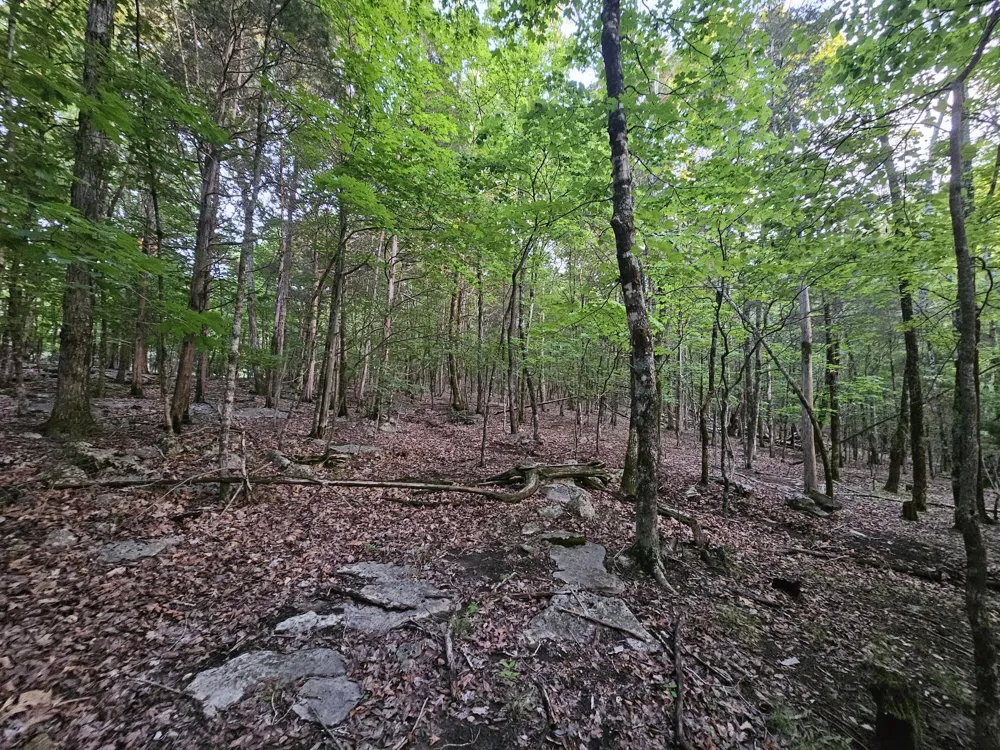 3 Sewanee Summit Road Decherd, TN 37324