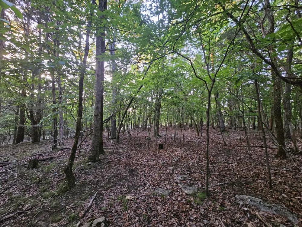 3 Sewanee Summit Road Decherd, TN 37324