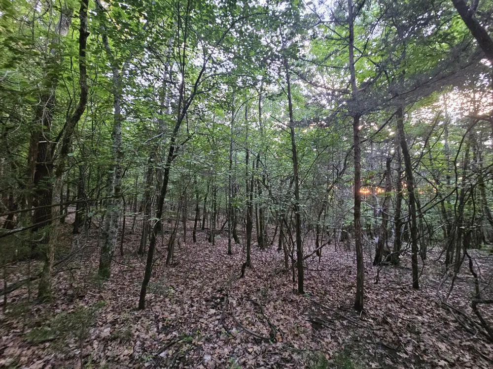 3 Sewanee Summit Road Decherd, TN 37324