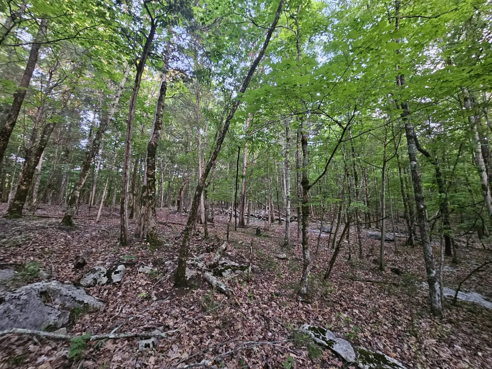 3 Sewanee Summit Road Decherd, TN 37324
