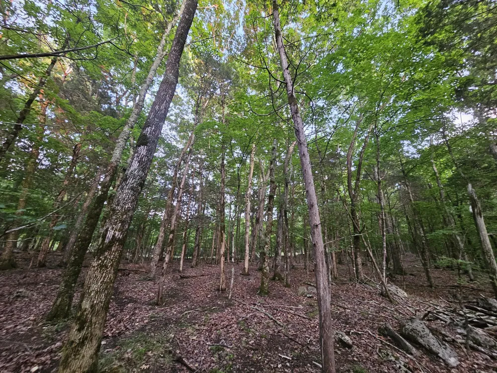 3 Sewanee Summit Road Decherd, TN 37324