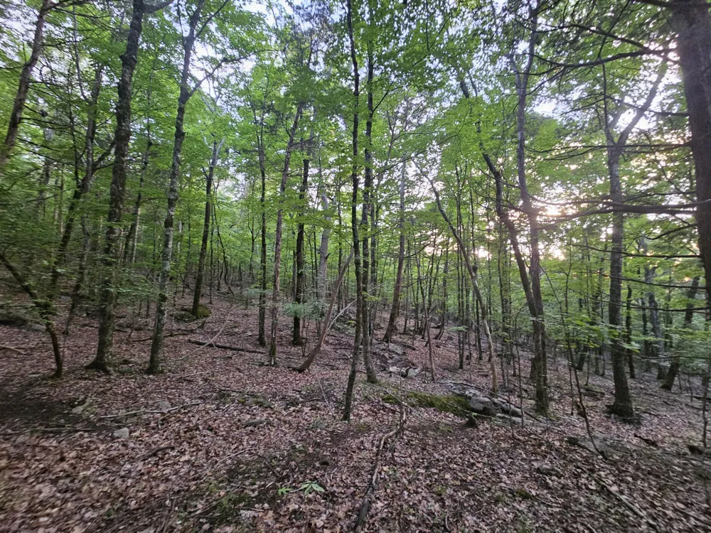 3 Sewanee Summit Road Decherd, TN 37324