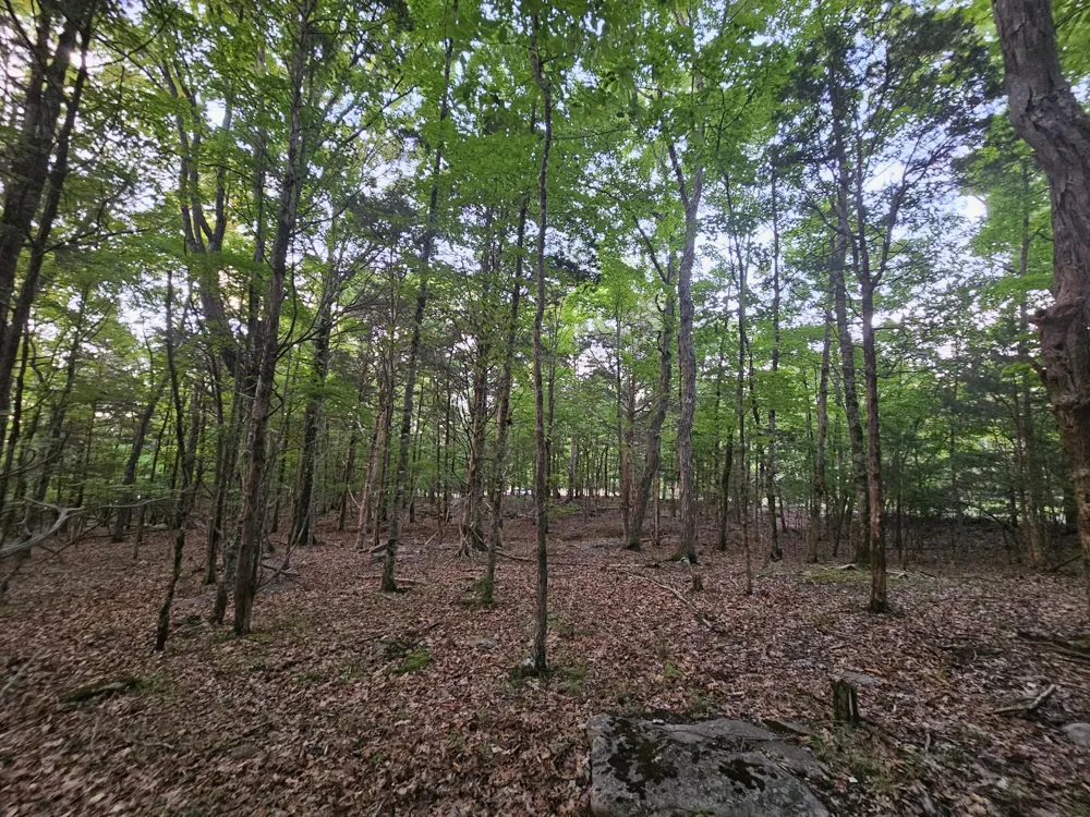 3 Sewanee Summit Road Decherd, TN 37324