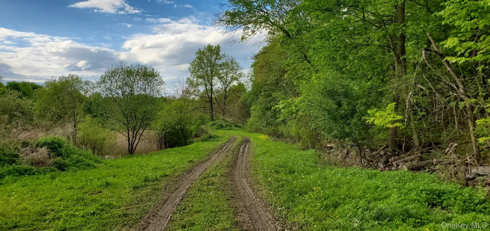 207 Cardinal Road Hyde Park, NY 12538