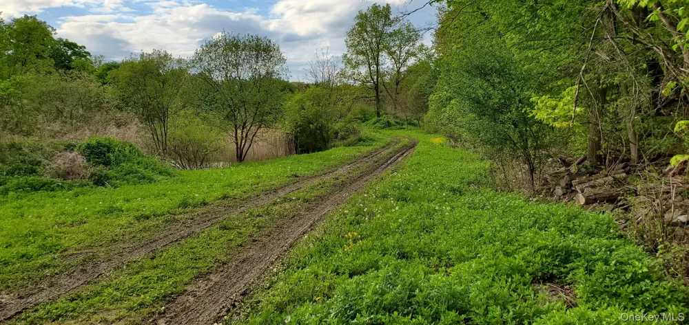 207 Cardinal Road Hyde Park, NY 12538