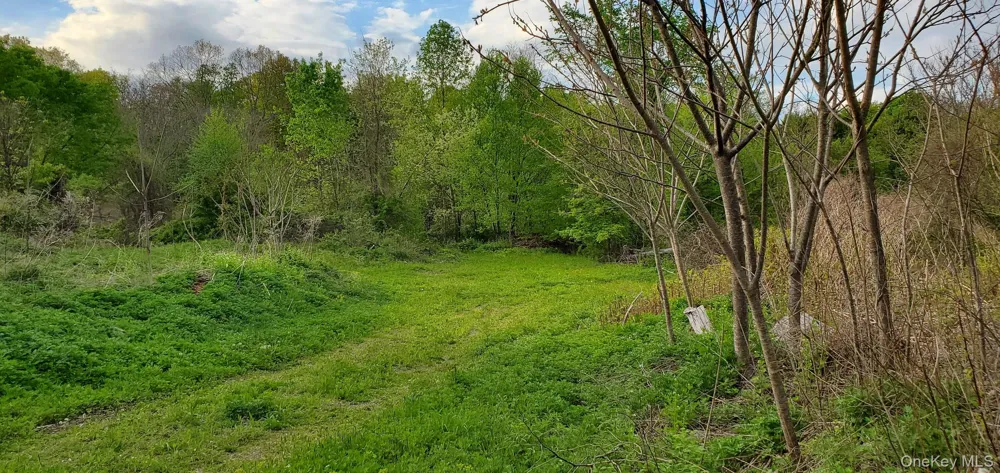 207 Cardinal Road Hyde Park, NY 12538