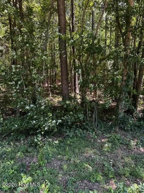 Lot 1 Dan Road Robbins, NC 27325