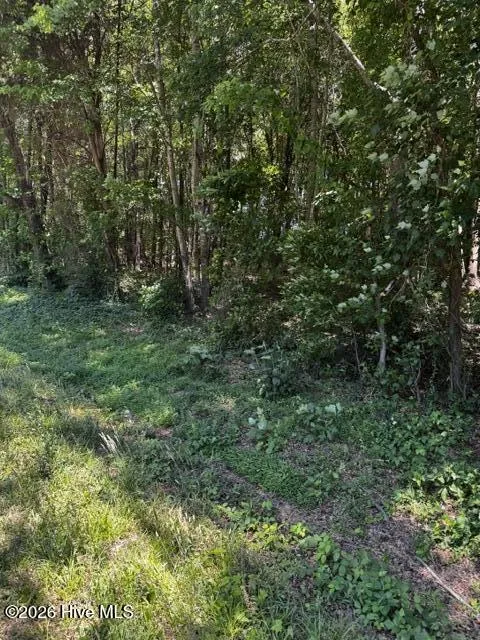 Lot 1 Dan Road Robbins, NC 27325