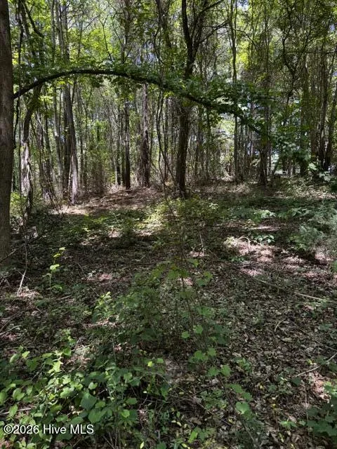 Lot 1 Dan Road Robbins, NC 27325