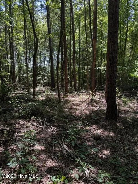 Lot 1 Dan Road Robbins, NC 27325