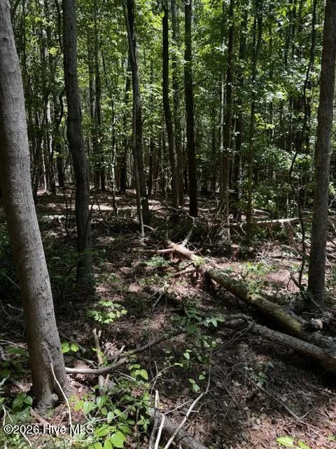 Lot 1 Dan Road Robbins, NC 27325