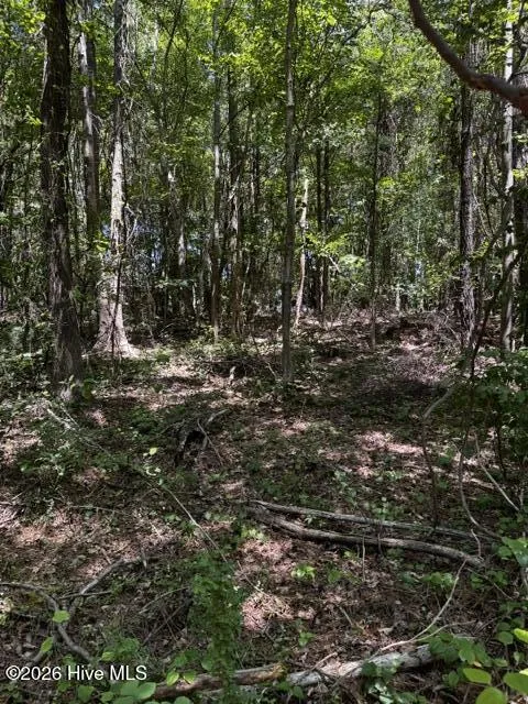 Lot 1 Dan Road Robbins, NC 27325