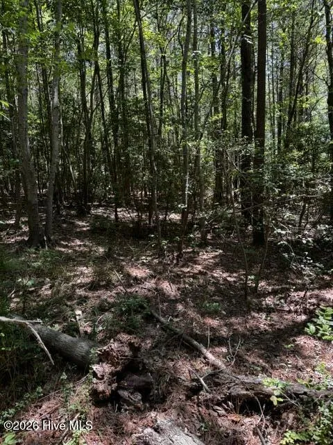 Lot 1 Dan Road Robbins, NC 27325