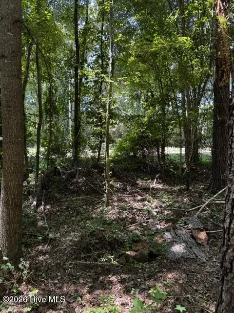 Lot 1 Dan Road Robbins, NC 27325