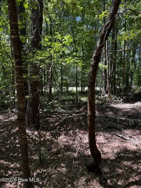 Lot 1 Dan Road Robbins, NC 27325