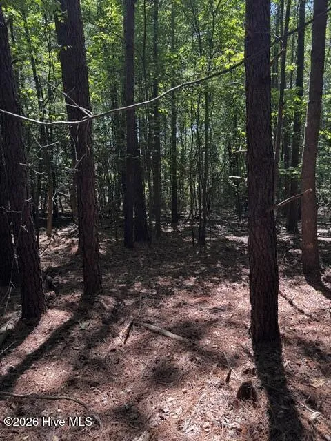 Lot 1 Dan Road Robbins, NC 27325