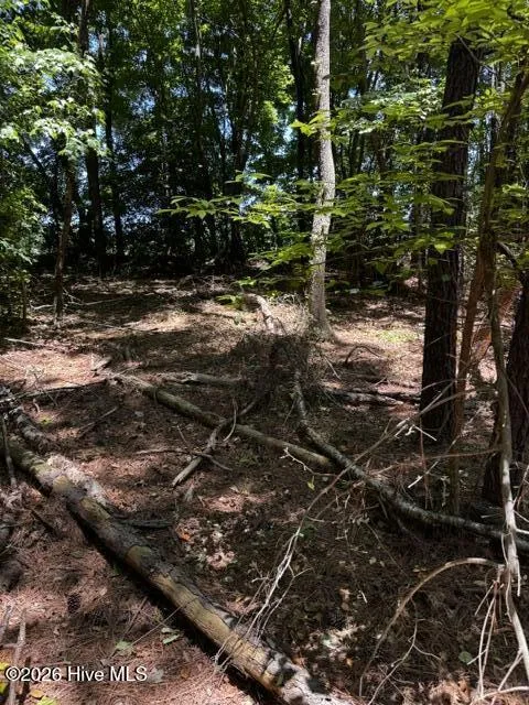 Lot 1 Dan Road Robbins, NC 27325