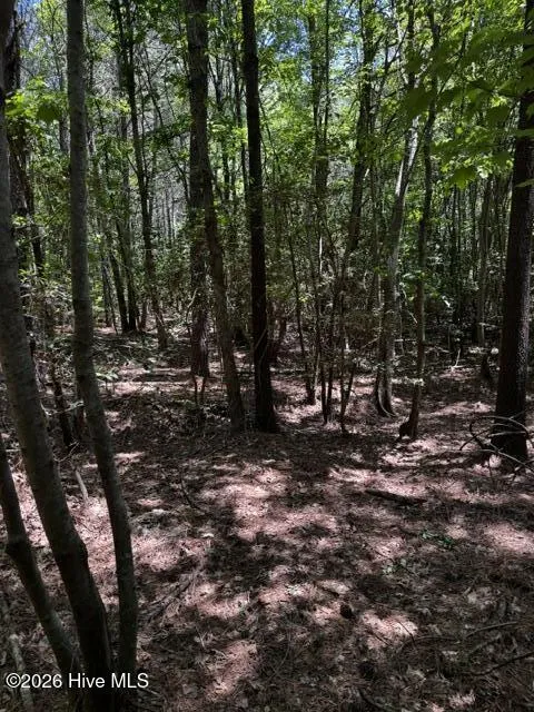 Lot 1 Dan Road Robbins, NC 27325