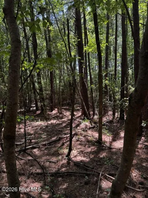 Lot 1 Dan Road Robbins, NC 27325