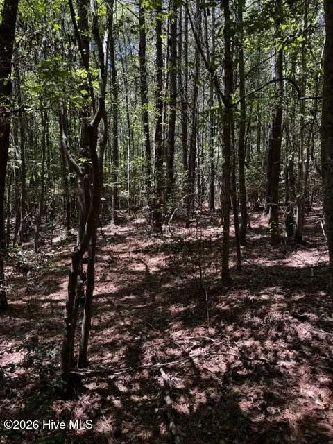Lot 1 Dan Road Robbins, NC 27325