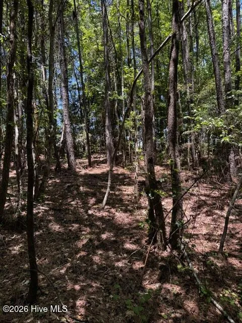 Lot 1 Dan Road Robbins, NC 27325
