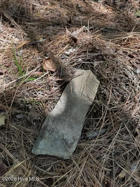 Lot 1 Dan Road Robbins, NC 27325