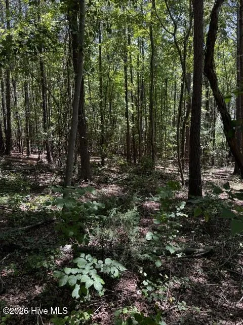 Lot 1 Dan Road Robbins, NC 27325