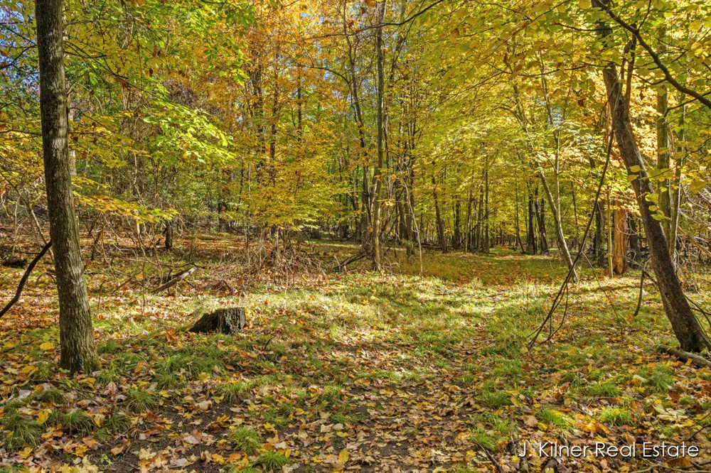 4390 22 Mile Road NW Tyrone Township, MI 49330
