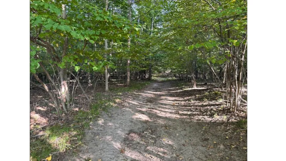 4390 22 Mile Road NW Tyrone Township, MI 49330